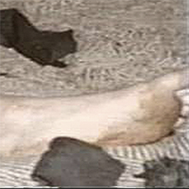 The Jeffrey MacDonald Case: Debunking FrmrCSI's alleged analysis of the bloody footprints: A cropped area from original crime scene JPEG which FrmrCSI has altered (interpolation and anti-aliasing now is apparent, and aspect ratio has been lost)